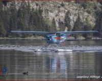 TSR Watermark - 0207